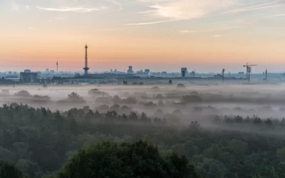 Berlim vai plantar 500 mil novas árvores